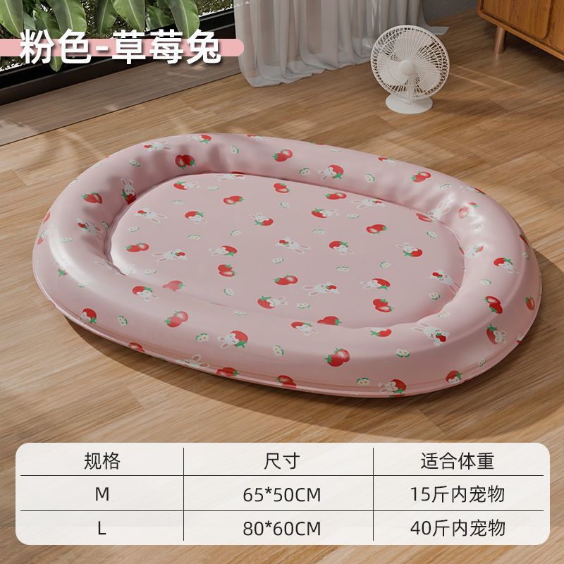 핑크 딸기 토끼