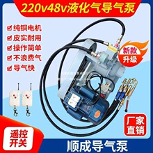 新款220伏液化气导气泵48伏导气泵12伏车用丙烷导气泵铸铁