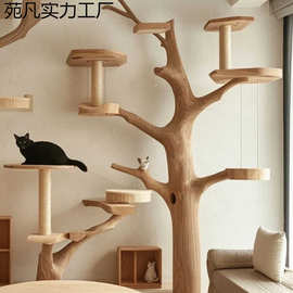 树干猫爬架实木猫架跳台一体猫窝家用原木猫树豪华别墅猫抓柱