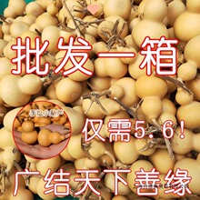 ���J����������С���J���lС���ְѼ���Ȼ���J�������