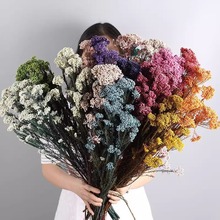 永生花小清新插花手工高级家居装饰diy礼品女友闺蜜拍摄道具干花