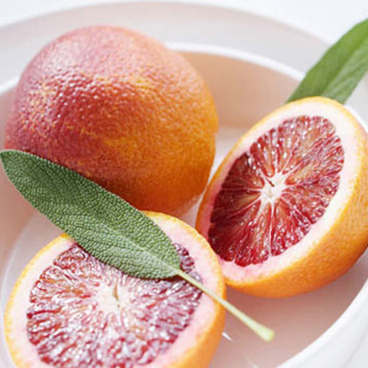 ���ָ��㾫�������֣����֣��㾫���Ե����㾫���ջ��㾫