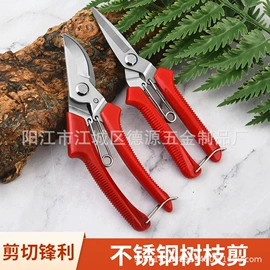 家用剪刀;厨用剪刀;修枝剪