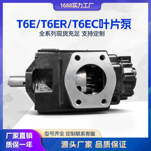 ɿ˵dT6E T6ER T6EC~Ƭ ߉ͱ Һ TCͱ