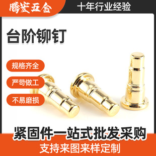 ��ĸ�Tᔻ����~僽�늘O�  �~�T� ����T���\�F̨�A�T�