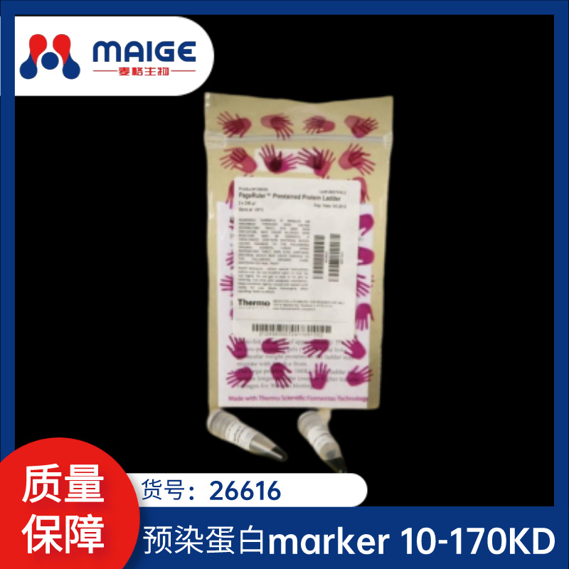 26616 预染蛋白marker （10-170KD）	 赛默飞