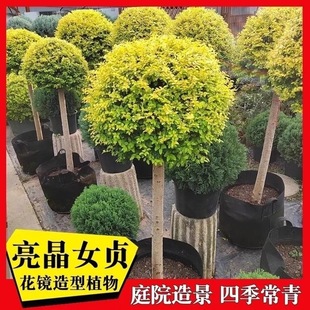 ���~����Ůؑ�������������͘仨�@���R�Ǽ�����ֲ���׻��͕��ͺ�