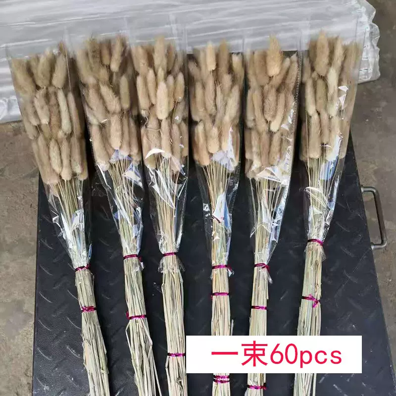 兔尾草干花一束60支家居装饰原色干花兔尾草真花云南干花厂家批发