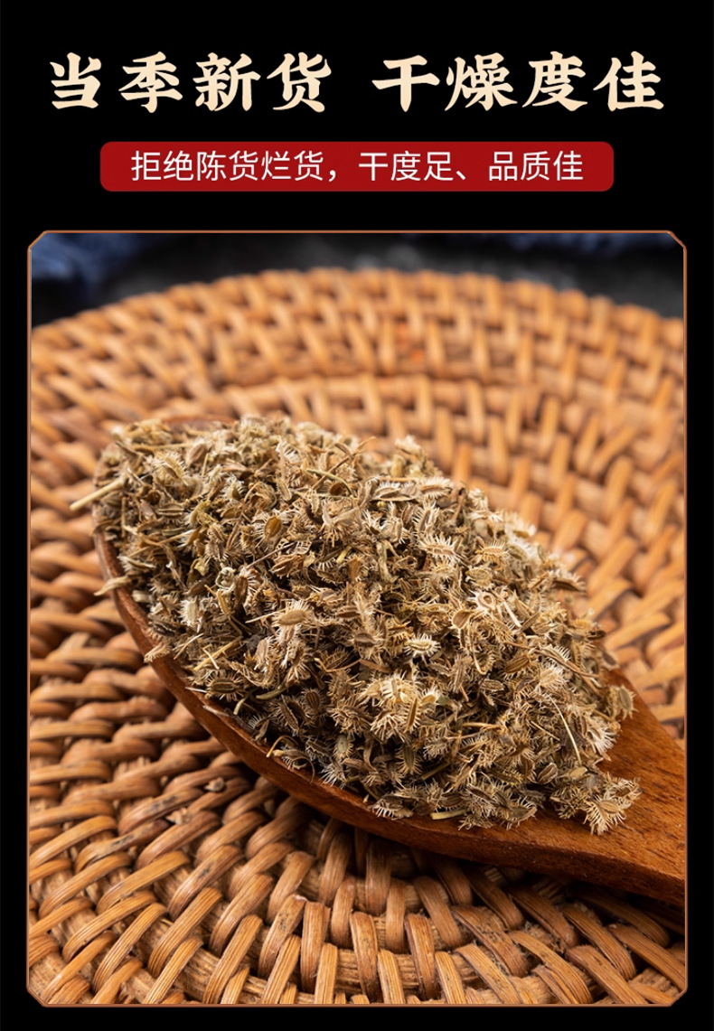 Wild Carrot Fruit Nan He Shi 50g Dried Herb for Traditional Decoctions preparation