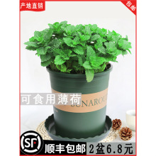 Կʳˮʱ~BԵֲ҃rGֲ