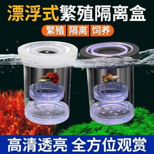 ��ȸ�~��ֳ���x���Pβ�~��ĸ�~̥���a�ѷ������x��С�~�猣�þW