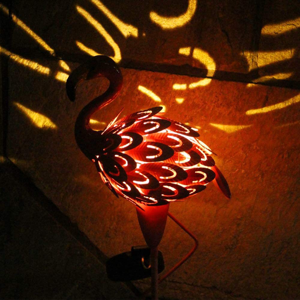 61SmrhbqUpL._AC_SL1000_