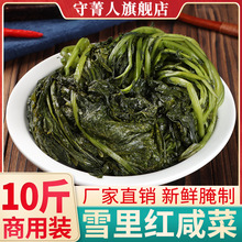 雪里红腌菜农家新鲜雪里蕻蔬菜腌制酸菜青雪菜咸菜大全商用下饭菜