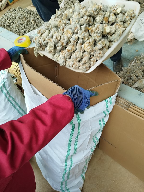 微信图片_20230219202550_副本