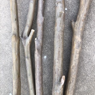 ���W�L��֧�ɘ�֦��֦������ޱ��֦�Ҿ����P�͏d�Ƶ��e�^�����b�