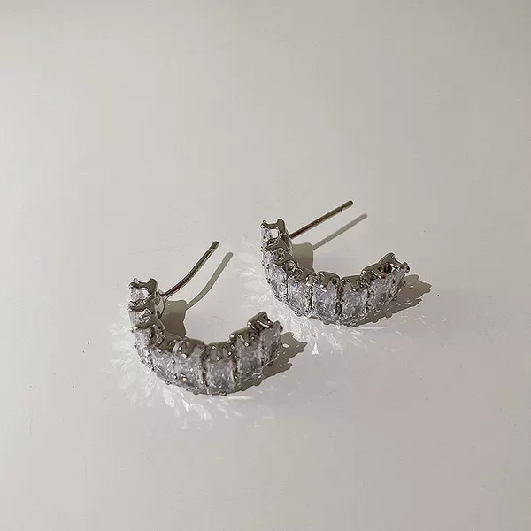 Silver earrings pair