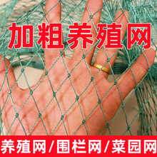 防鸟网天顶网爬藤网渔网渔网养殖网鸡网捕鱼网围边网护栏网尼龙网