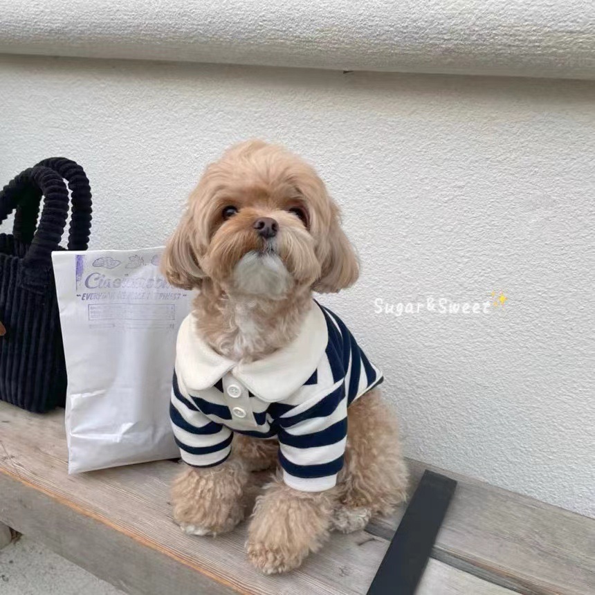 Pet dog striped round neck dog clothes summer thin Teddy Bichon Pomeranian small puppy T-shirt