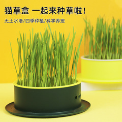 Cat grass pot manufacturer wholesales wheat seeds, soilless catnip planting box set, cat snacks, cat grass hydroponic box