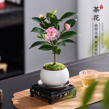 ൤ɽ軨҃ȺBļͺ軨Gֲ