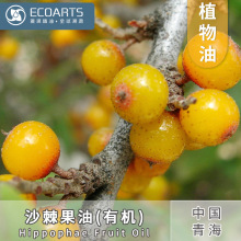 ɳ�����������B�w�ຣɳ���͜���ȡ���yƷԭ������ֲ�������l