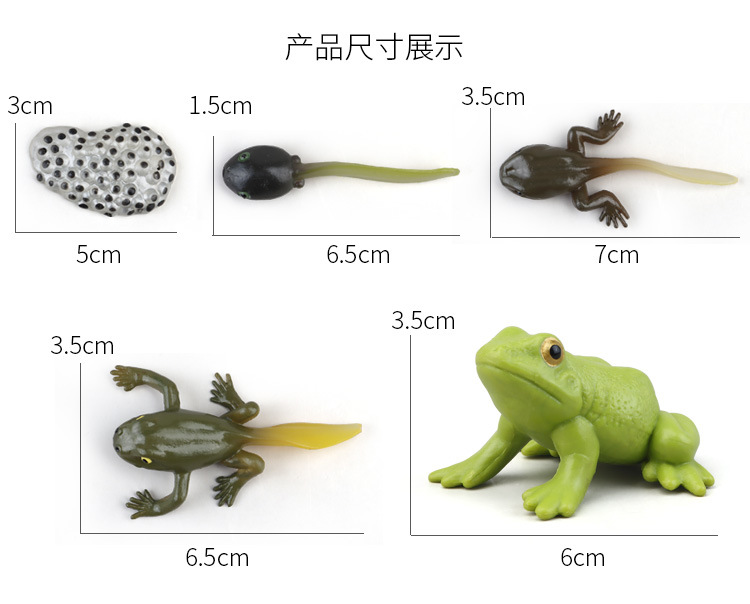 生长周期内页_09