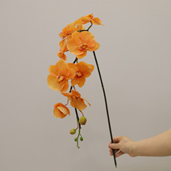 模造花卸売りPE手触り9花蝶蘭芸術生け花空間花芸大花蝶蘭