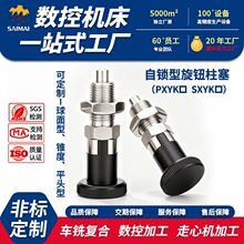 南京工厂定制不锈钢柱塞自锁型旋转柱塞分度销粗牙螺纹弹簧定位销