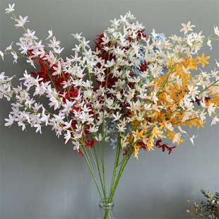 ���������m���ܻ�c���m�����������m�����m���l�m���´�С�n�m