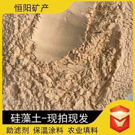 其他非金属;硅藻土;石英