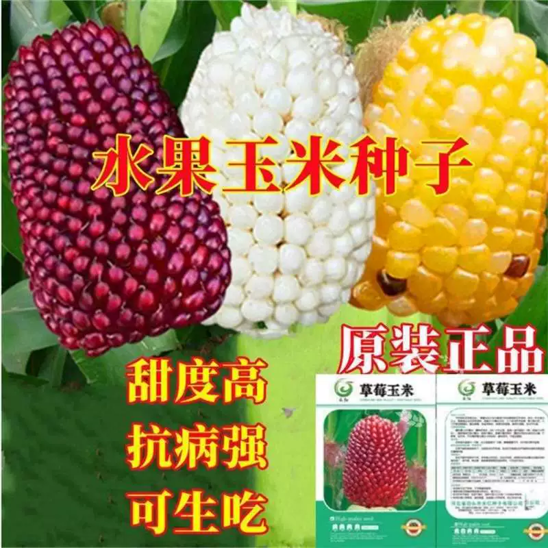 Семена фруктовой кукурузы, клубника, ананас, кремовые семена кукурузы, сладкая клейкая мини-фруктовая кукуруза, овощные семена круглый год