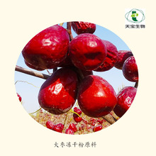 �󗗃��ɷۃ��ɼt���� ��ˮ�Դ���ȡ�� ʳƷ���決���w���ԭ��