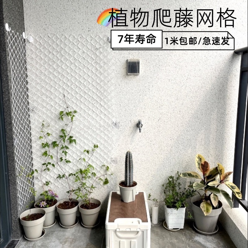 Planta enredadera verde eneldo red de pared superior plástico hombre enredadera red enredadera enredadera flor rosa decoración jardinería pared tortuga