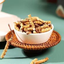 甄好货断的虫草野生虫草自用滋补泡酒送礼头期草断草非西藏