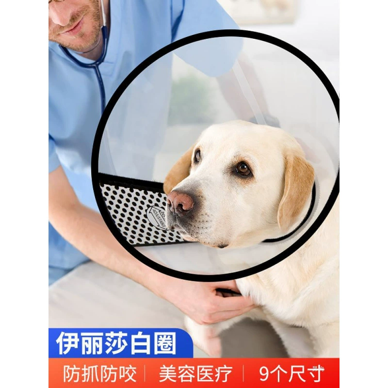 Головной убор с элизабетанским воротником для домашних животных не влияет на еду, предотвращает лизание и кусание, большой ошейник для собак, ошейник для собак