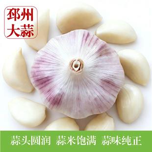 �r���ԷN�������l5���b6.5cm���Ϲ��������^�����ϰ�Ƥ��a��ֱ�l