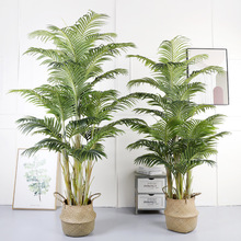 大型仿真鳳凰葵樹5桿天竺葵綠植盆栽人造假樹客廳椰樹棕櫚樹裝飾