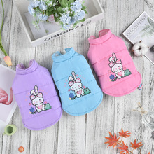 2023ﶬ¿ɐp洩RС͌·