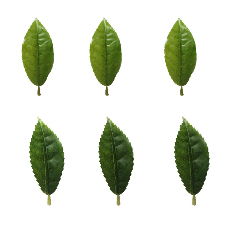 Monolithic Xin Yang Mao Jiang tea, green tea, white tea, red (black) tea, wholesale