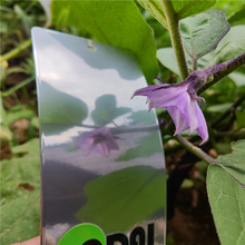 �R���y�ܷ� ���y�僽����Խ��ه��۷�ĩ�T��  �T�F�T�