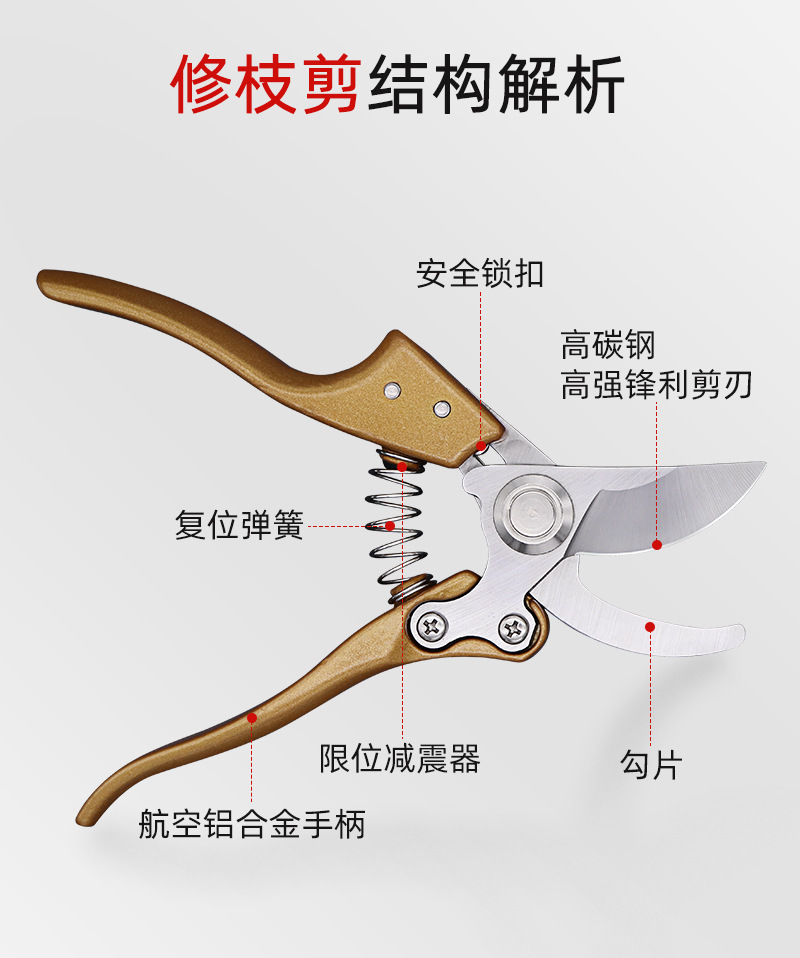 O1CN01Bope9p1zhiVZ42Qm1_!!2206