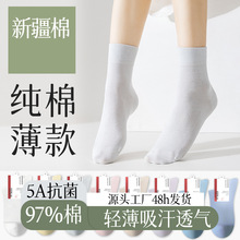 �m��Ů������Ͳ�ļ������������������ļ�40S����͸��o�ǶѶ��m