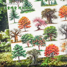 Retro Story贴纸包繁枝系列树木主题手账装饰素材打底贴15张6款