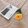 Single rose-yellow
