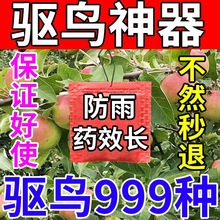 ��B��������x���r����@����Bș���s�B���B�o�r��������B��