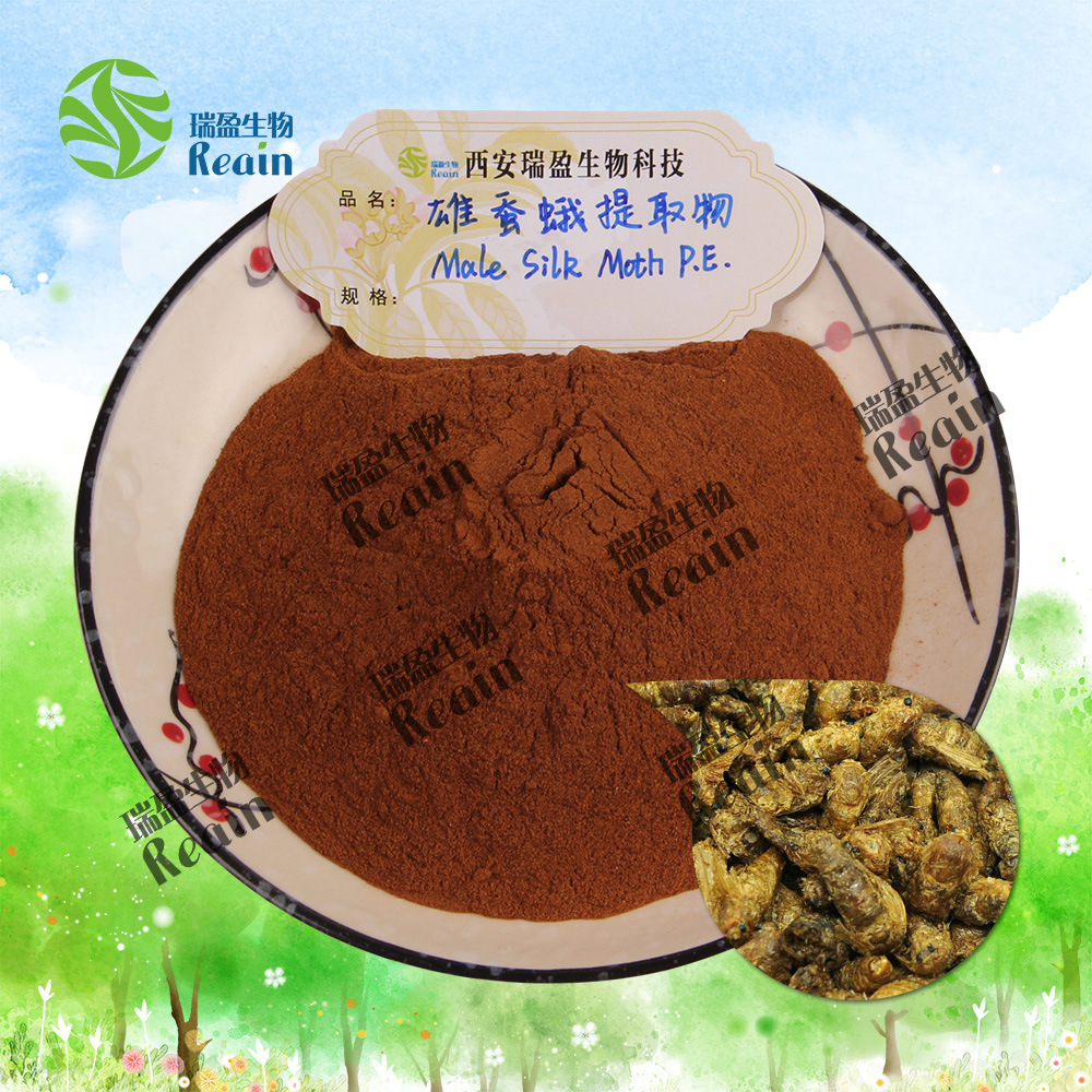 雄蠶蛾提取物 10:1 雄蠶蛾提取雄蠶蛾粉 瑞盈量大優惠