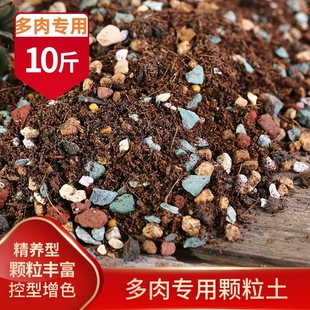 Special granular soil for fleshy planting cultivation soil for flower cultivation Special soil for fleshy peat flower soil paving stone nutrient soil
