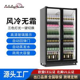 商用双门冷藏展示柜 超市便利店饮料柜 风冷无霜保鲜柜厂家批发
