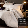 winter thickening keep warm Core 8 Antibacterial quilt Skin-friendly Double Velvet cover Large wholesale