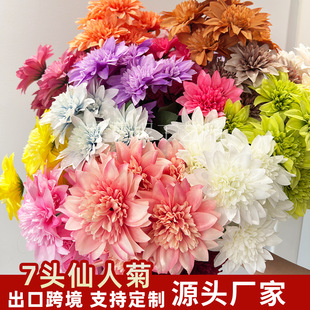 ���滨7�^���˾ջ�c�Y�õ��Ż��b�����ˇ�ҾӲ廨�����[��